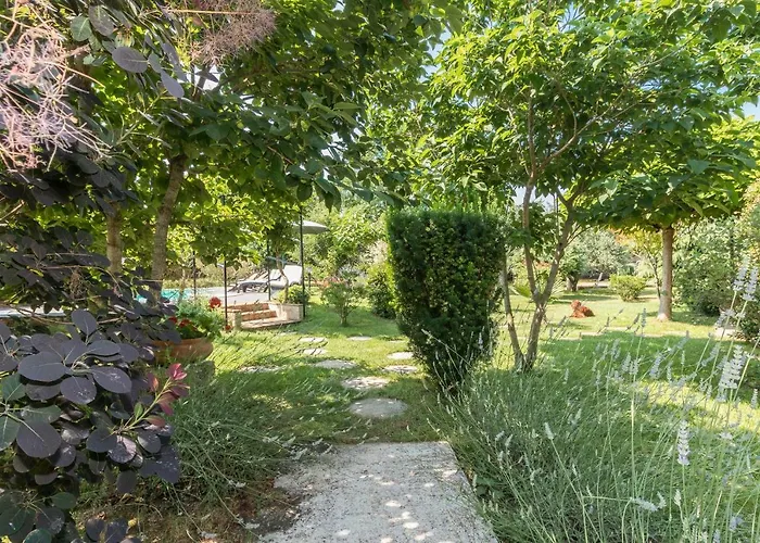 Country House Apartments 아파트